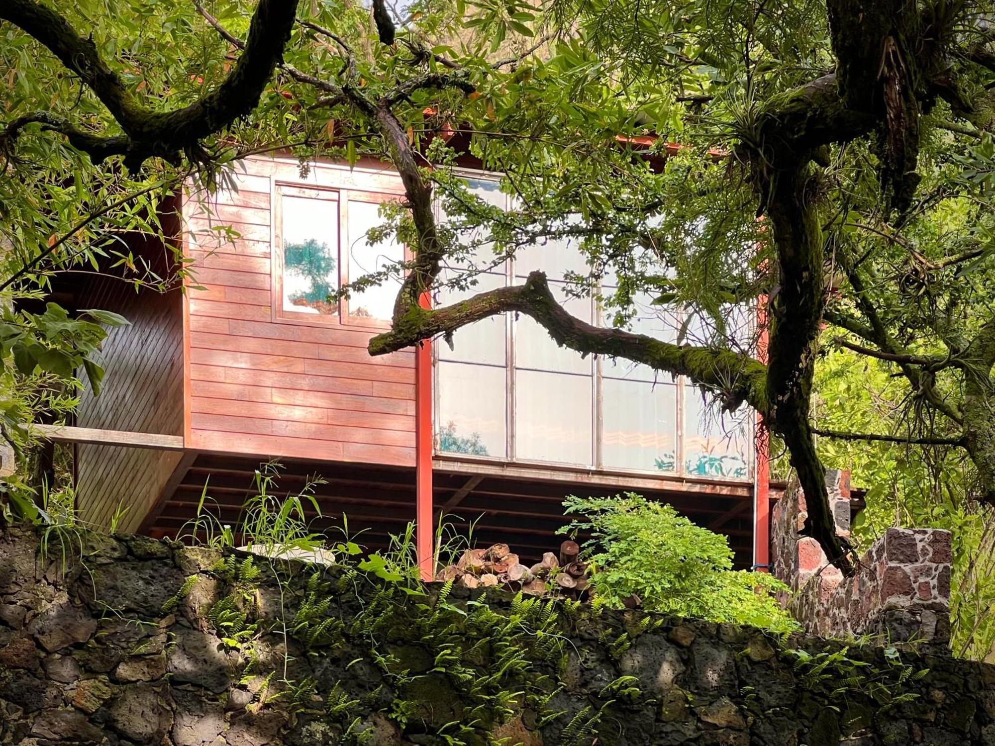 Santuario Ave Fénix-Cabañas Tepoztlán Exterior foto