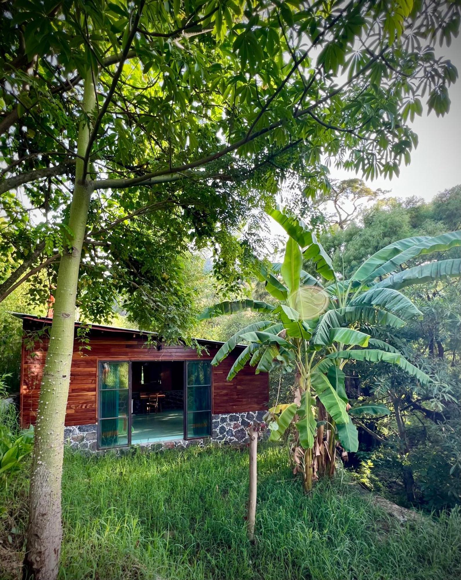 Santuario Ave Fénix-Cabañas Tepoztlán Exterior foto