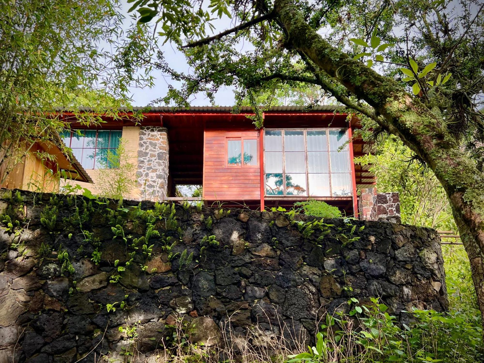 Santuario Ave Fénix-Cabañas Tepoztlán Habitación foto